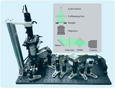 Coherent Noise Suppression of Single-Shot Digital Holographic Phase Via an Untrained Self-Supervised Network